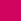 Rose Shocking Pink