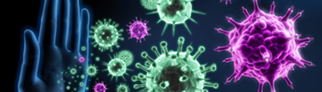 main virus