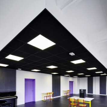 Dalle de faux plafond noire en situation (799)