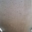 lambris-333-alveolaire-vue-renovation-plafond-avant