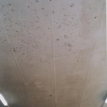 lambris-333-alveolaire-vue-renovation-plafond-avant