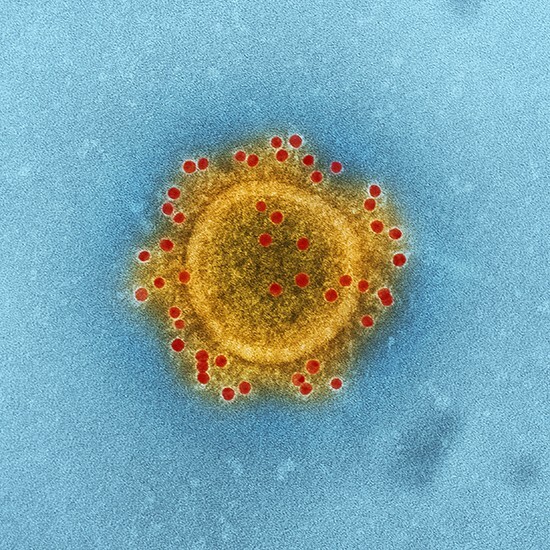 Illustration d'un virus