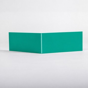 Angle interne pour lisse de protection murale Polyéthylène verte dos a