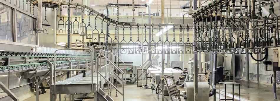 abattoir chaines