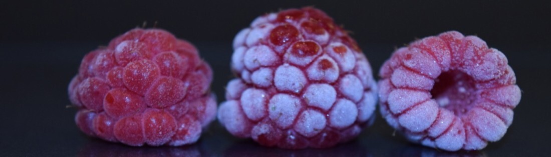 framboises gelées