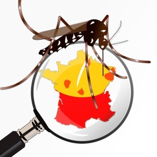 Illustration montrant un moustique tigre sur une loupe révélant la carte de France