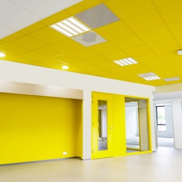 dalle faux plafond souffre 1