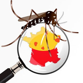 Illustration montrant un moustique tigre sur une loupe révélant la carte de France